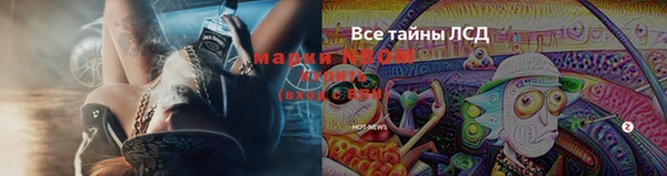 бошки Новозыбков