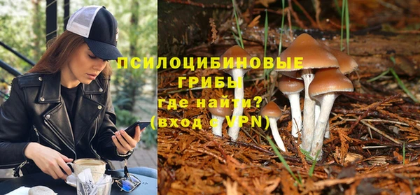 скорость Новодвинск