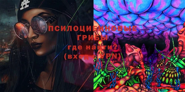 бошки Новозыбков