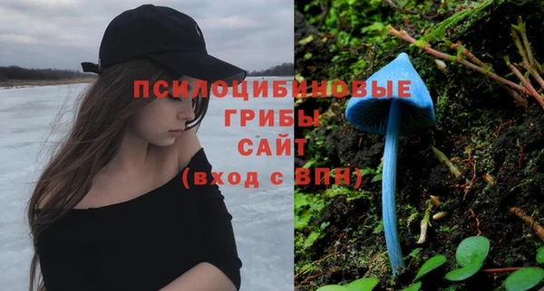 скорость Новодвинск
