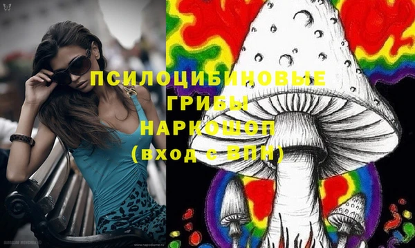 бошки Новозыбков