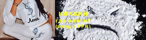 бошки Новозыбков